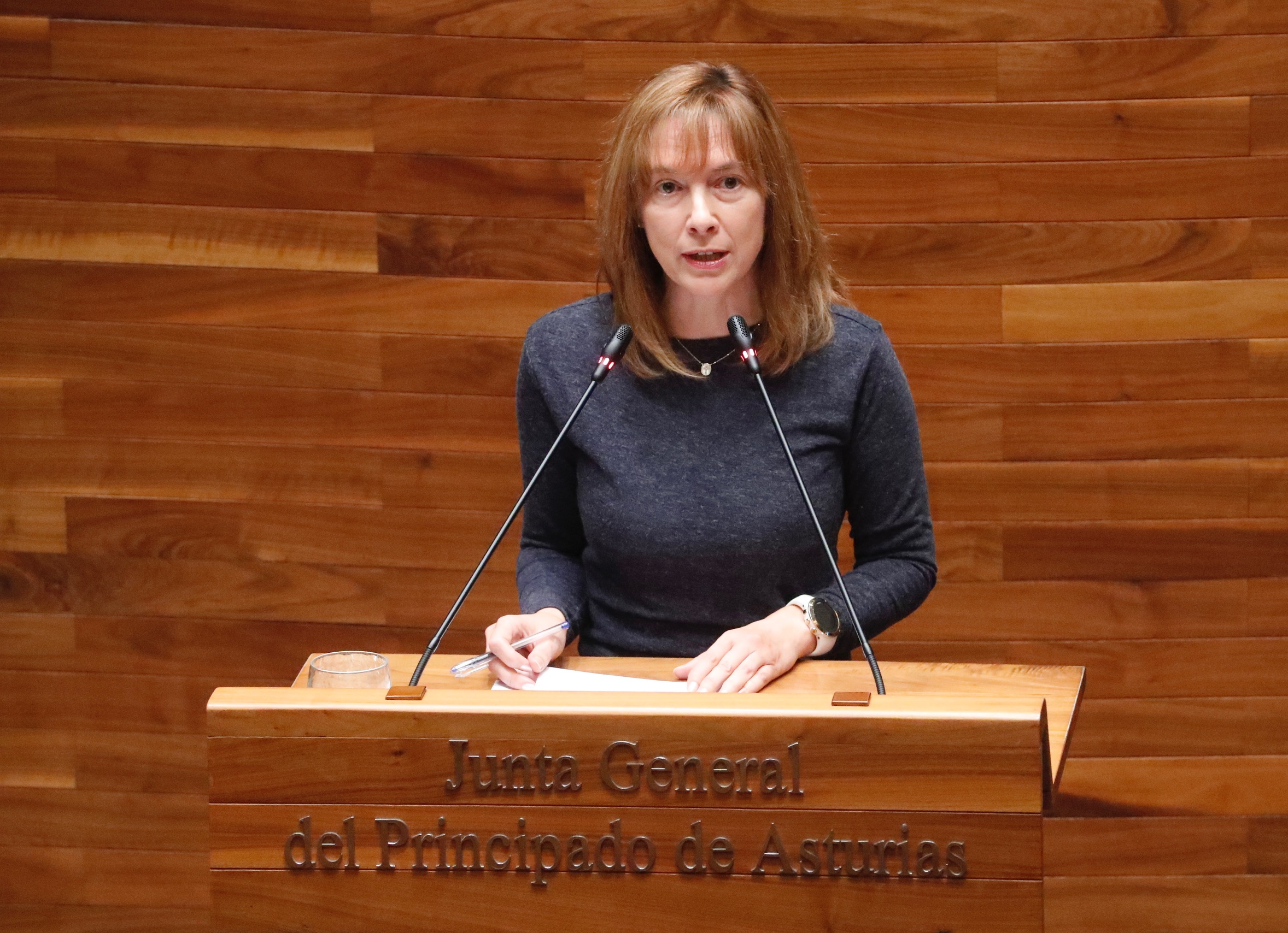 Imagen - El Gobierno de Asturias ejecutó más del 90% del presupuesto autonómico en 2022