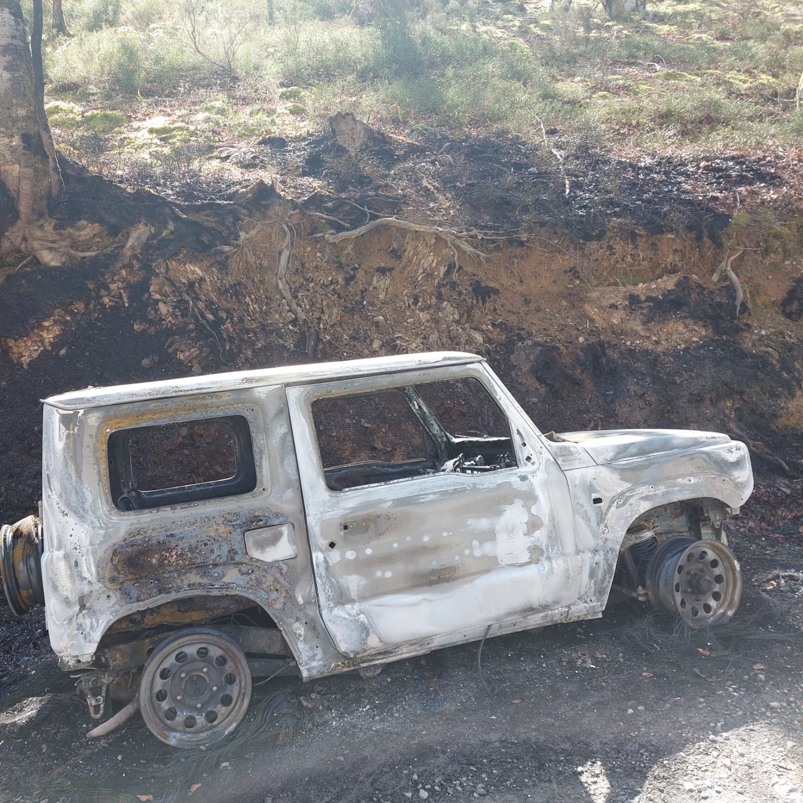 Imagen - El Principado denuncia el ataque a un vehículo de la Guardería del Medio Natural que participaba en el dispositivo de prevención de incendios en Quirós