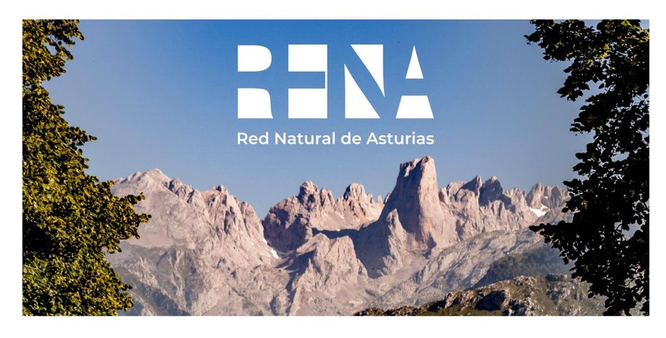 Imagen - El Principado programa para Semana Santa actividades didácticas y rutas guiadas en los centros de la Red Natural de Asturias