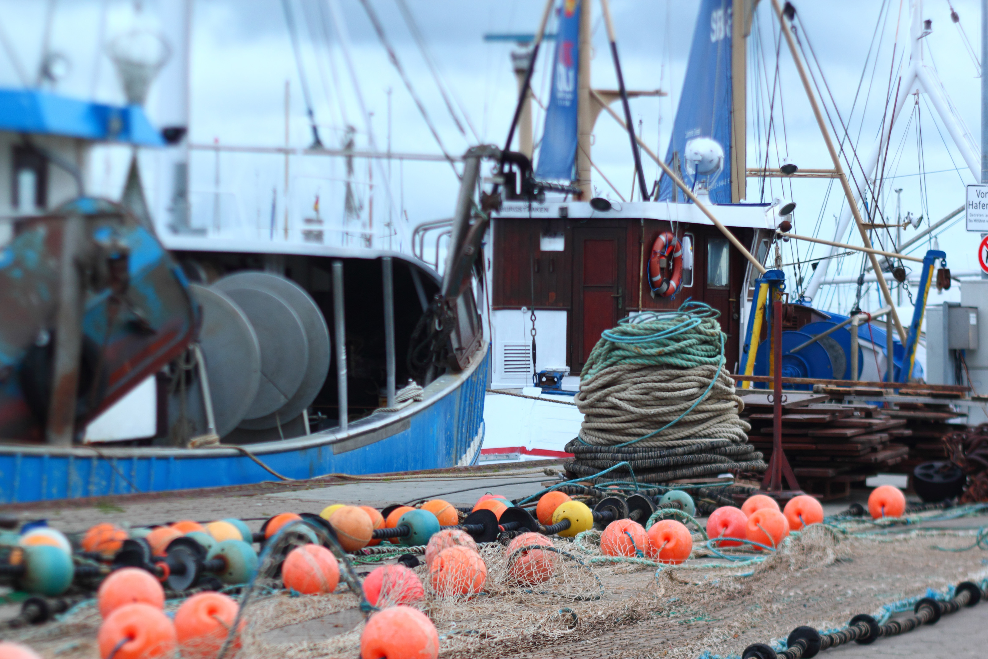 Imagen - El Principado considera un importante avance para el sector pesquero el aumento de cuota de merluza y bonito para el próximo año