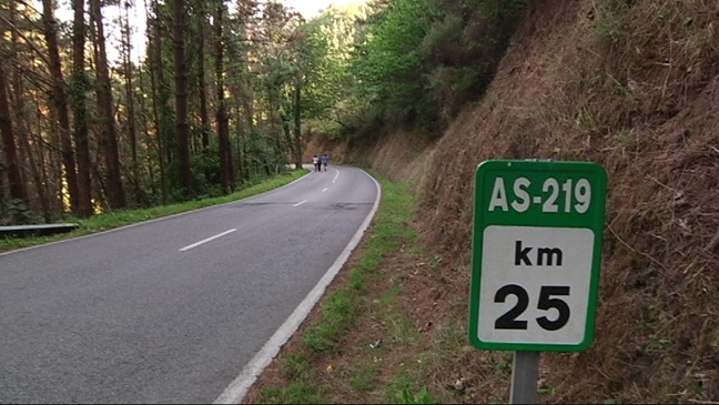Imagen del artículo El Gobierno de Asturias destina más de 6 millones a mejorar 18 kilómetros de la carretera AS-219 a su paso por Tineo y Valdés