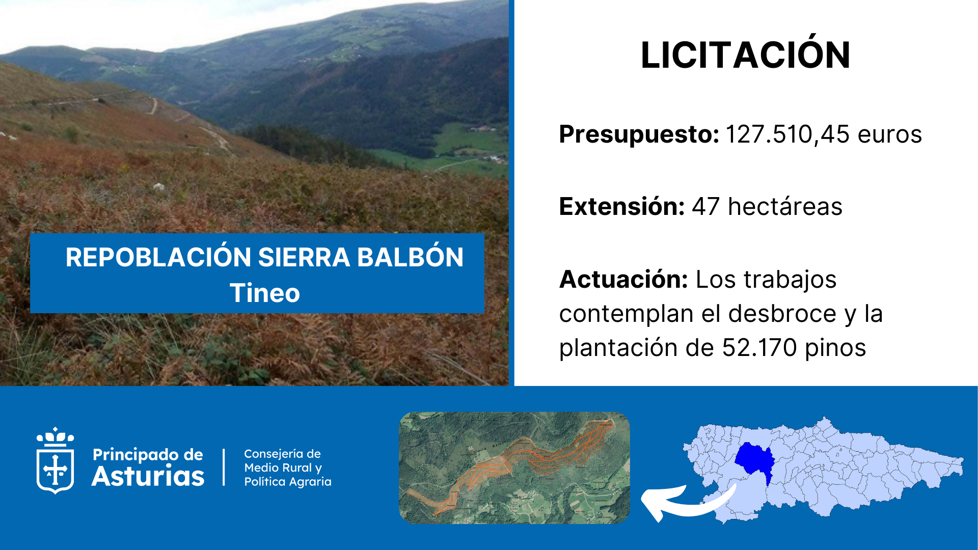 Imagen del artículo Medio Rural saca a licitación por 127.000 euros la repoblación de 47 hectáreas en la sierra de Balbón, en Tineo