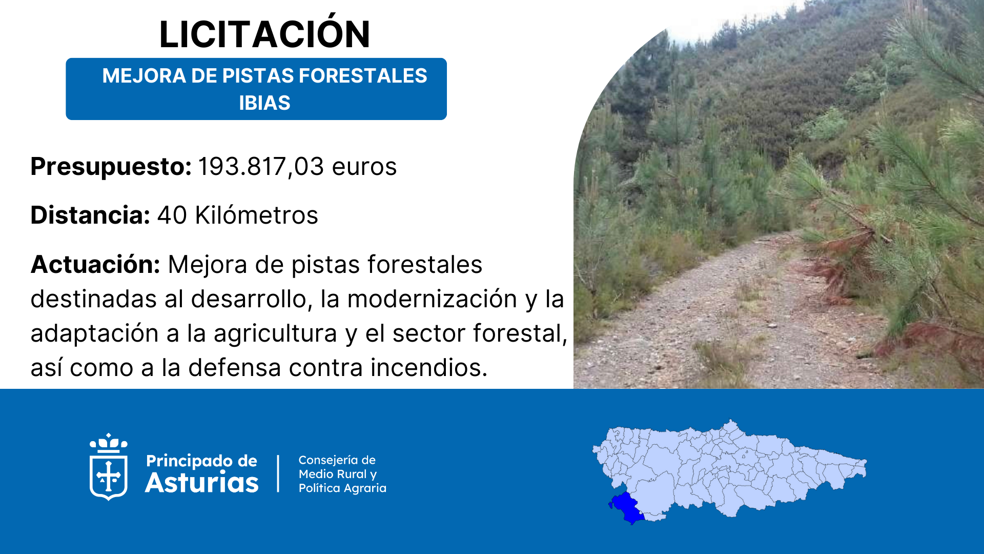 Imagen del artículo Medio Rural destina 193.800 euros a mejorar 40 kilómetros de pistas forestales en Ibias