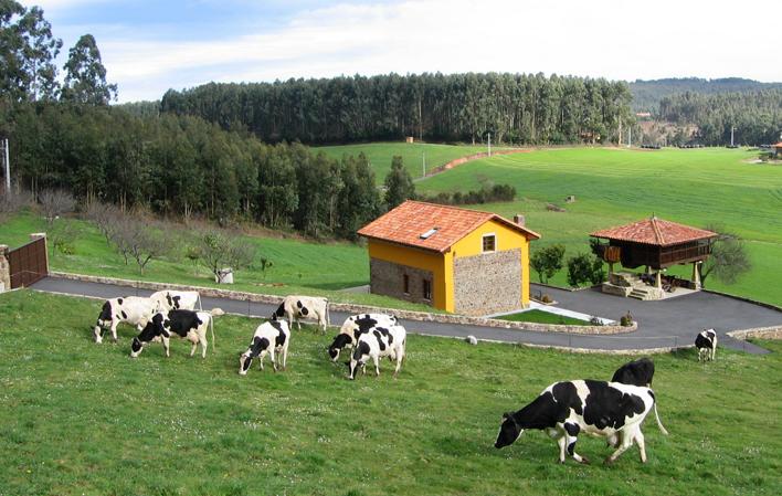 Imagen del artículo El Gobierno de Asturias realiza un nuevo pago de 600.000 euros de ayudas de la Política Agraria Común de 2023