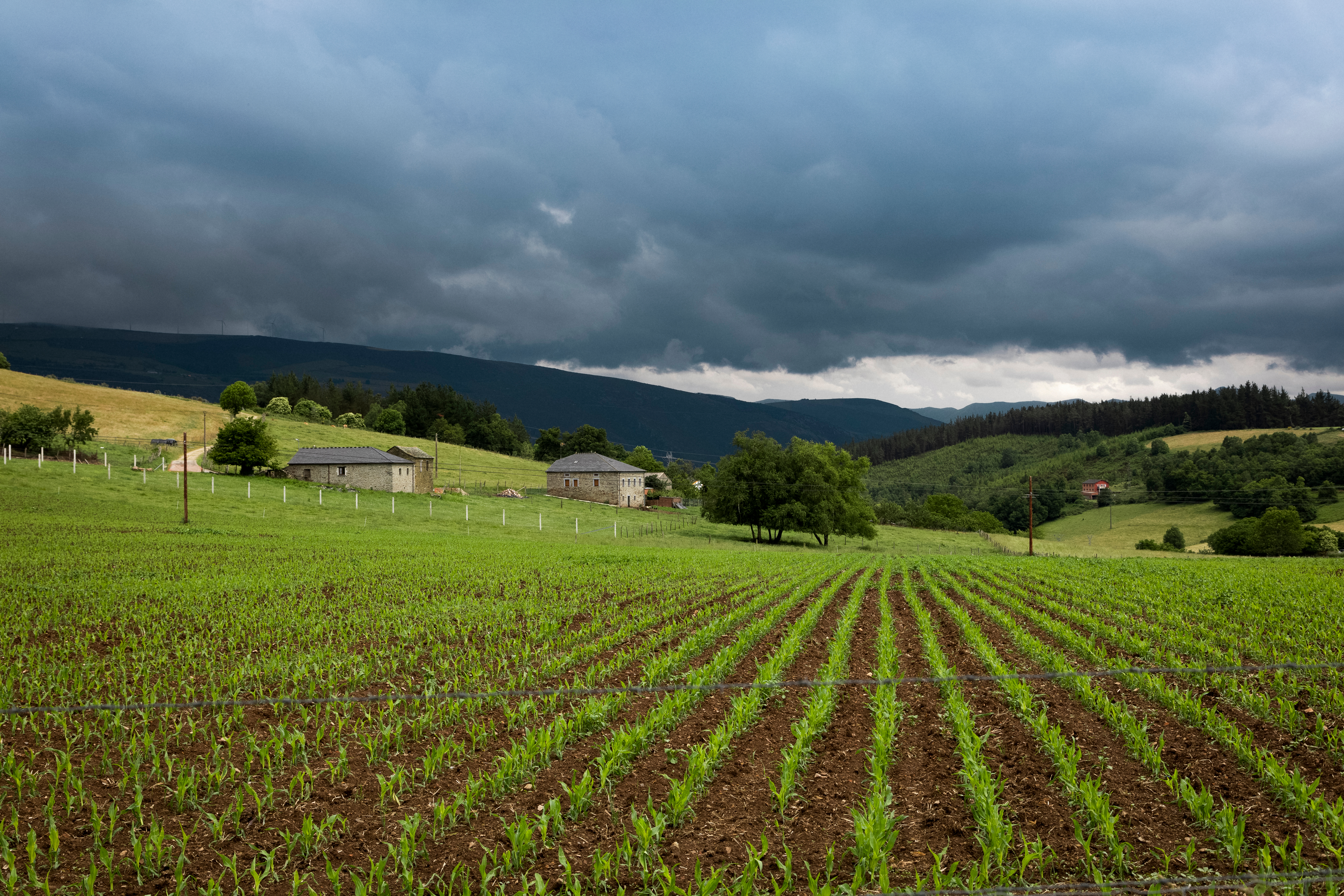 Imagen del artículo El programa 'Incorpórate al agro' contempla ayudas de hasta 100.000 euros para fomentar el empleo en el sector primario