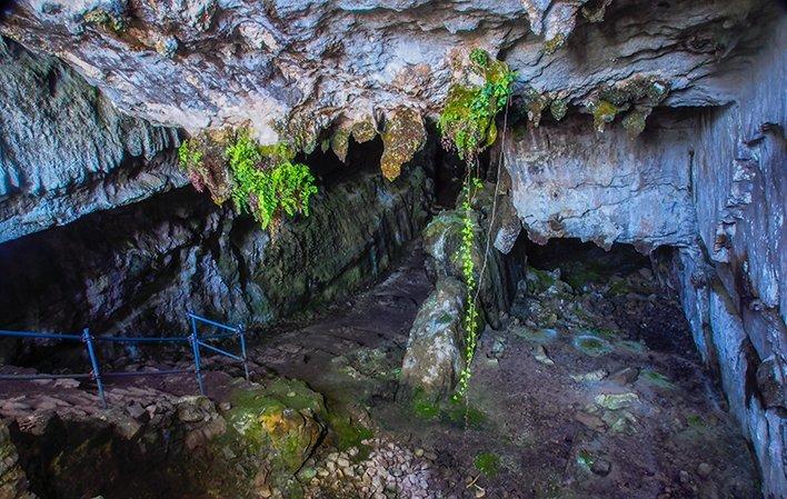 Imagen del artículo Cultura reabre la cueva de El Pindal a las visitas con nuevas medidas de seguridad