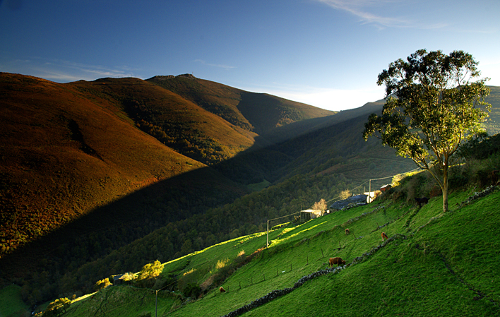 Imagen del artículo El Gobierno de Asturias subraya el valor esencial de los fondos europeos de la PAC para las rentas de agricultores y ganaderos