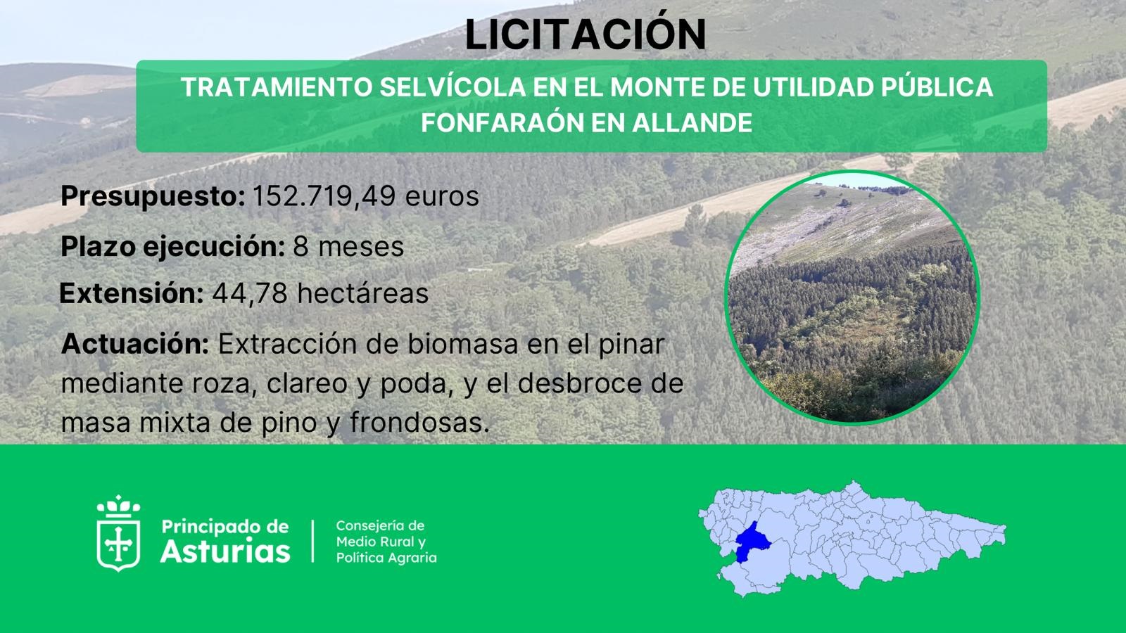 Imagen del artículo Medio Rural licita por 152.000 euros tratamientos selvícolas en el monte Fonfaraón, en Allande, para reducir el riesgo de incendios
