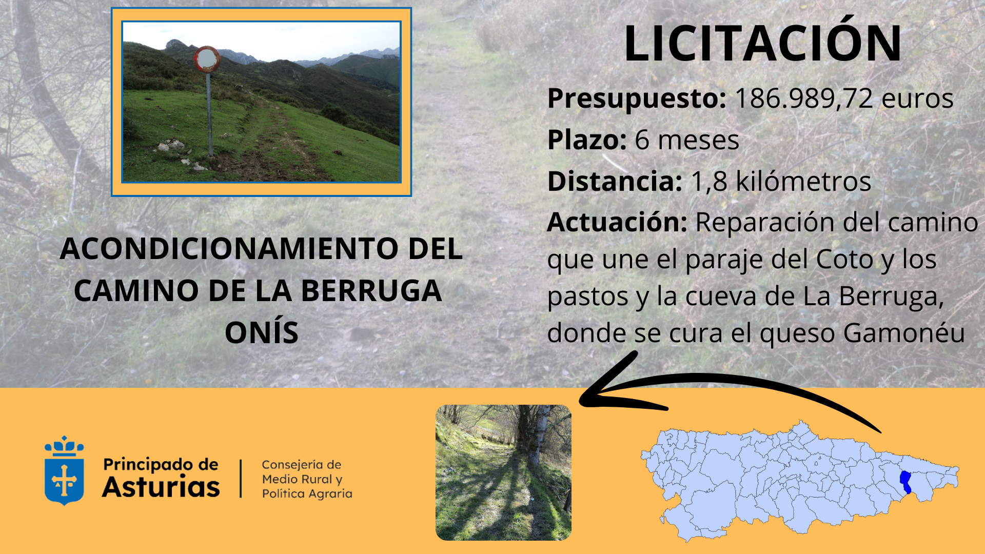 Imagen del artículo Medio Rural licita por 187.000 euros las obras de mejora del camino de La Berruga en el concejo de Onís