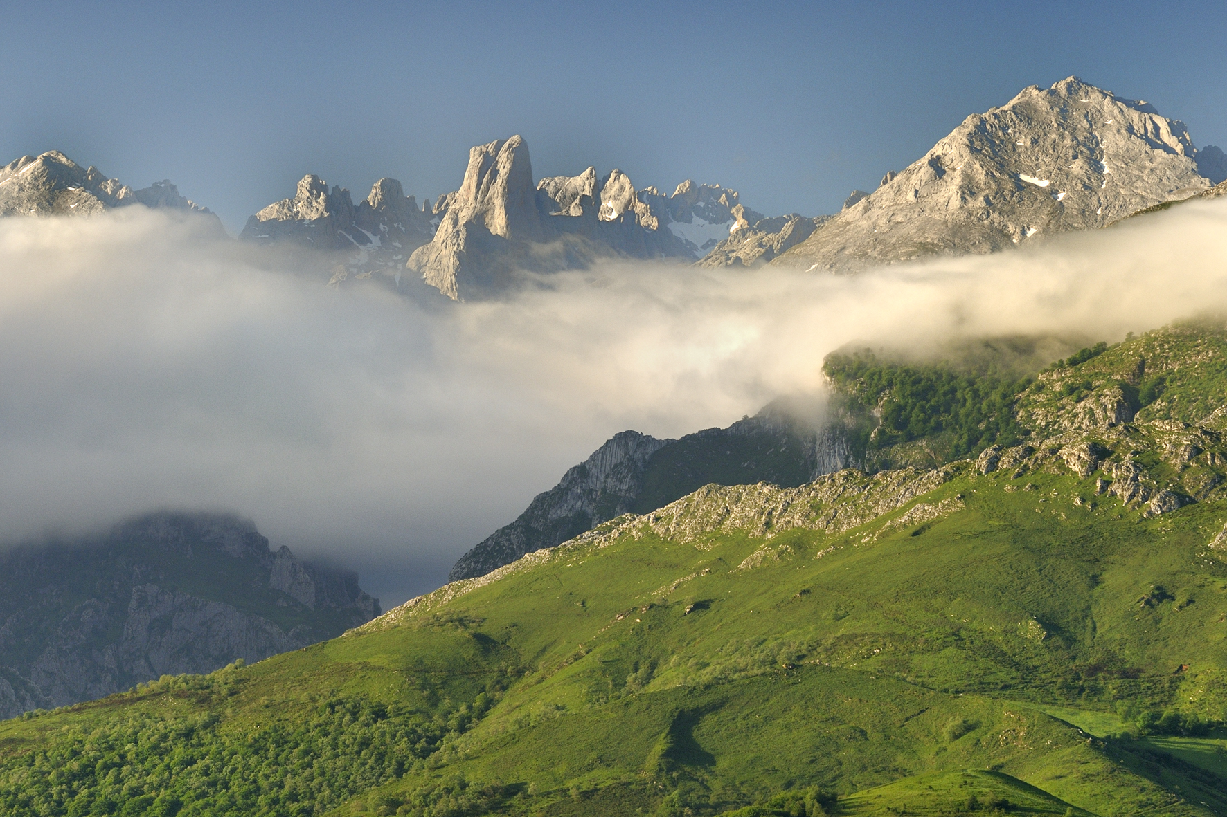 Imagen del artículo El Principado lanza una nueva línea de ayudas para el área de influencia del Parque Nacional de los Picos de Europa dotada con dos millones