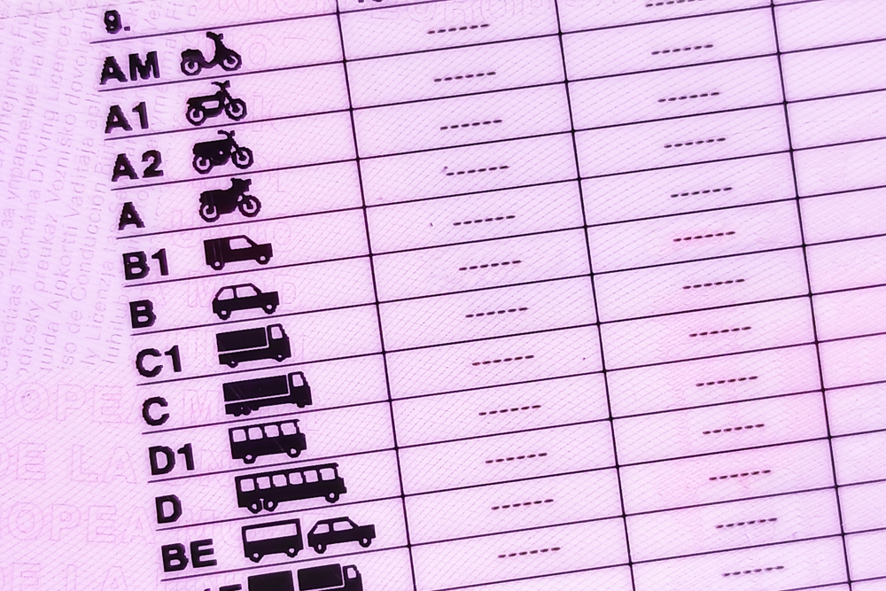 Imagen del artículo El Ejecutivo convoca ayudas para que jóvenes puedan obtener el carné de conducir
