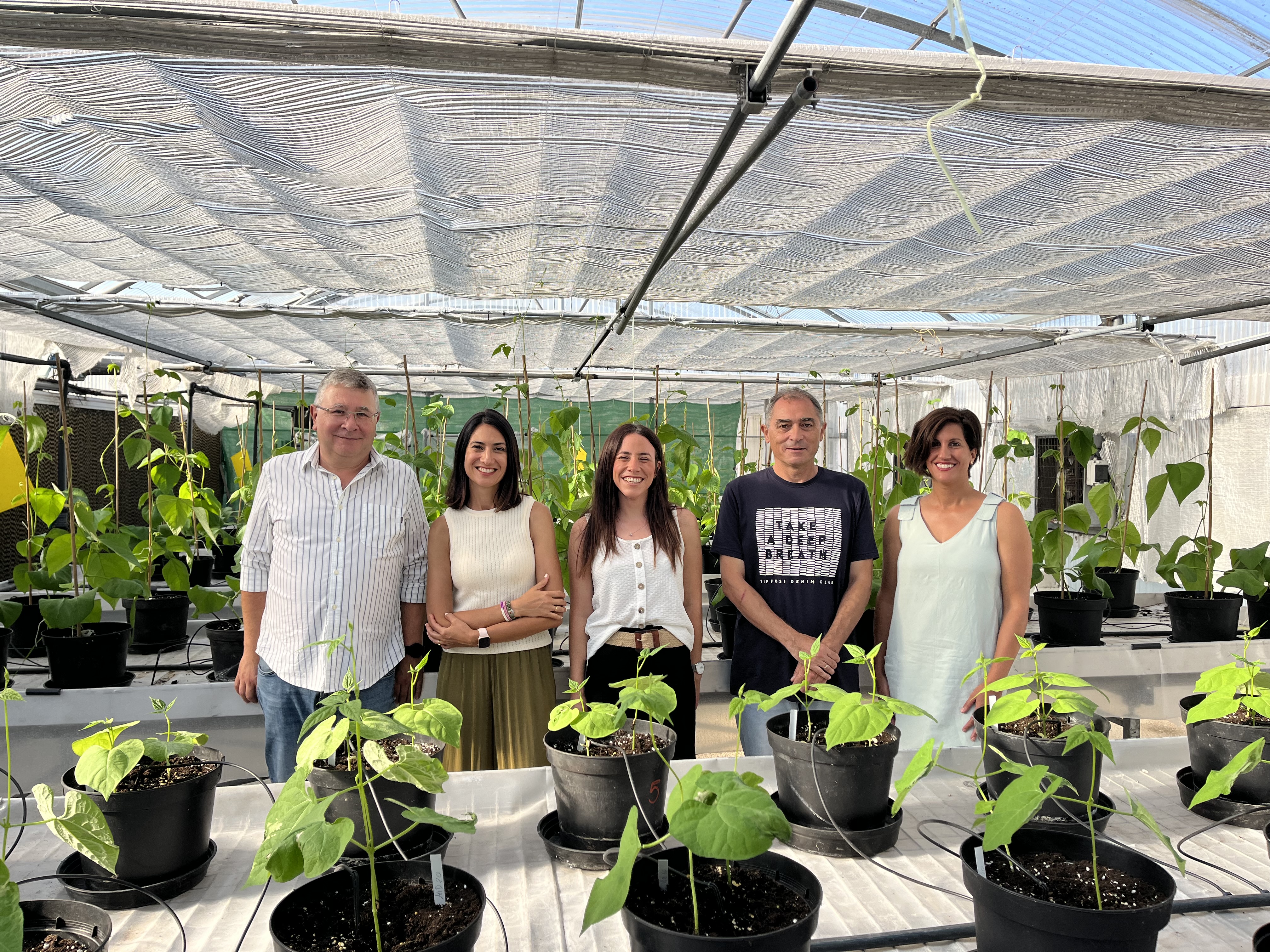 Imagen - El Serida secuencia el primer genoma completo de la Faba Granja Asturiana y avanza en su mejora y conservación