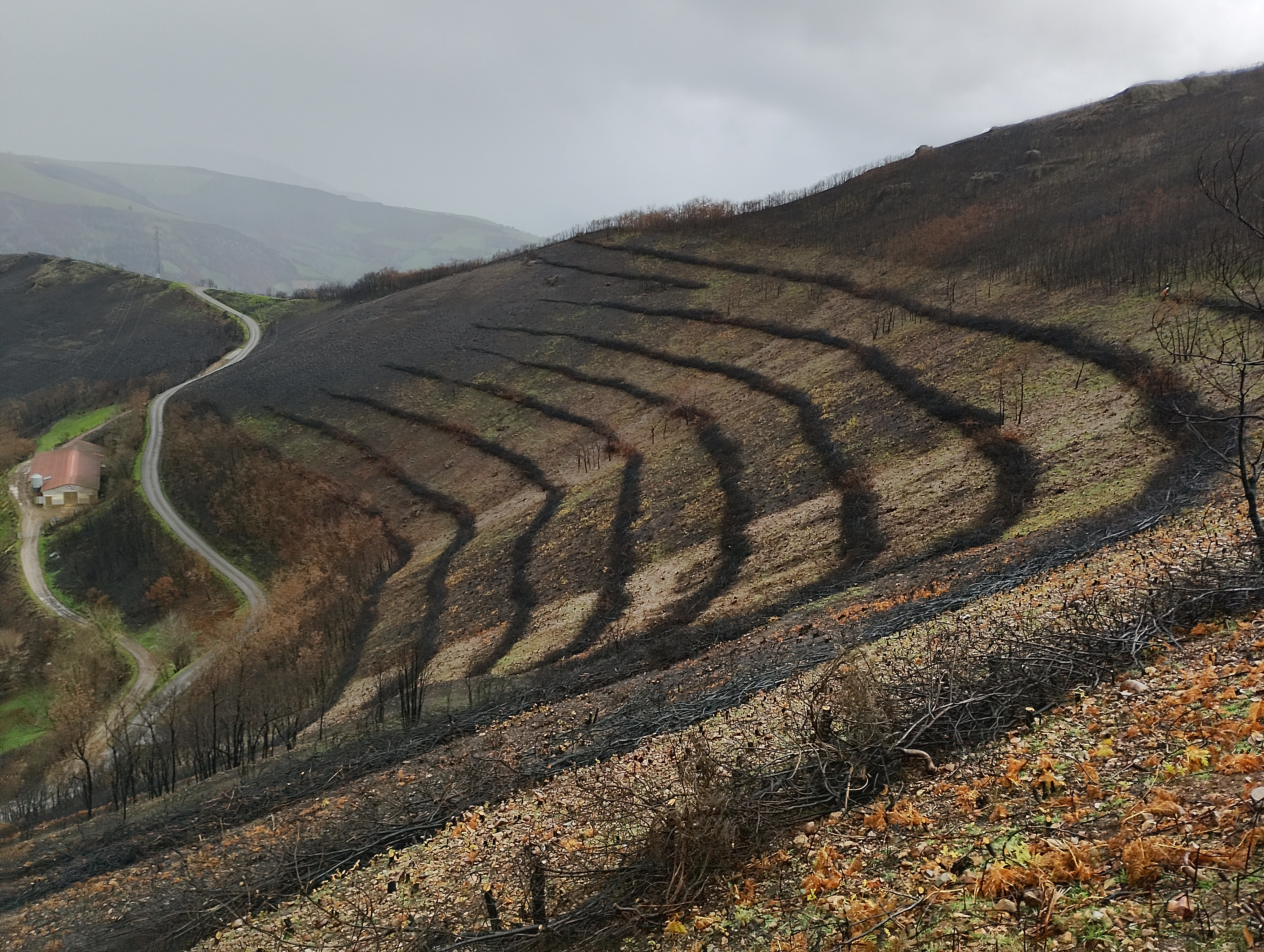 Imagen - Medio Rural refuerza las obras de emergencia en Cangas del Narcea para contener los efectos de los incendios de 2025