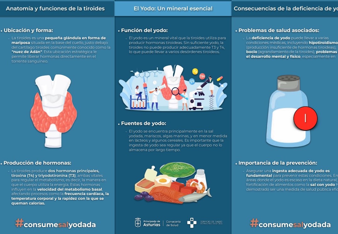Imagen - El Servicio de Salud desarrolla un programa piloto liderado por Atención Primaria para mejorar la prevención, el diagnóstico y el abordaje de las enfermedades tiroideas