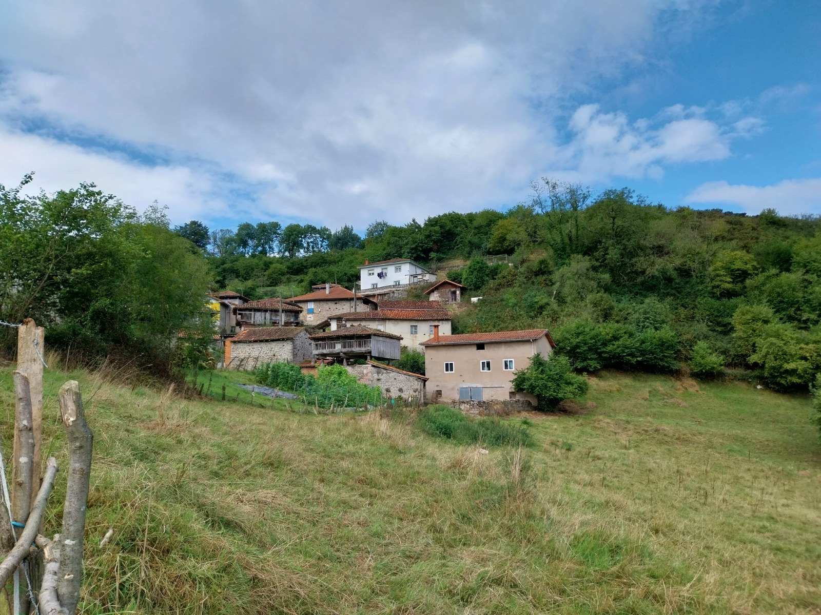 Imagen - El Gobierno de Asturias refuerza la protección de la interfaz urbano-forestal con 5 millones en ayudas directas a los ayuntamientos