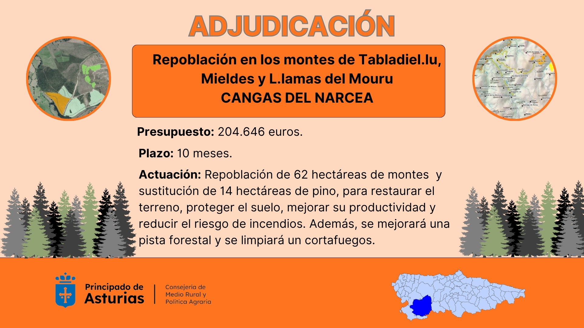 Imagen - Medio Rural adjudica en 204.000 euros la repoblación de 62 hectáreas de montes de Tabladiel.lu, Mieldes y L.lamas del Mouru, en Cangas del Narcea