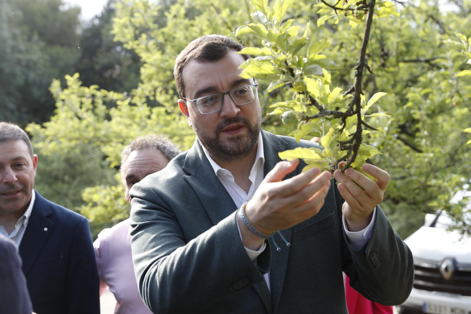 Imagen - Barbón reitera el compromiso del Gobierno del Principado con la cultura sidrera: “Haremos todo lo posible para que continúe siendo seña y emblema de Asturias”