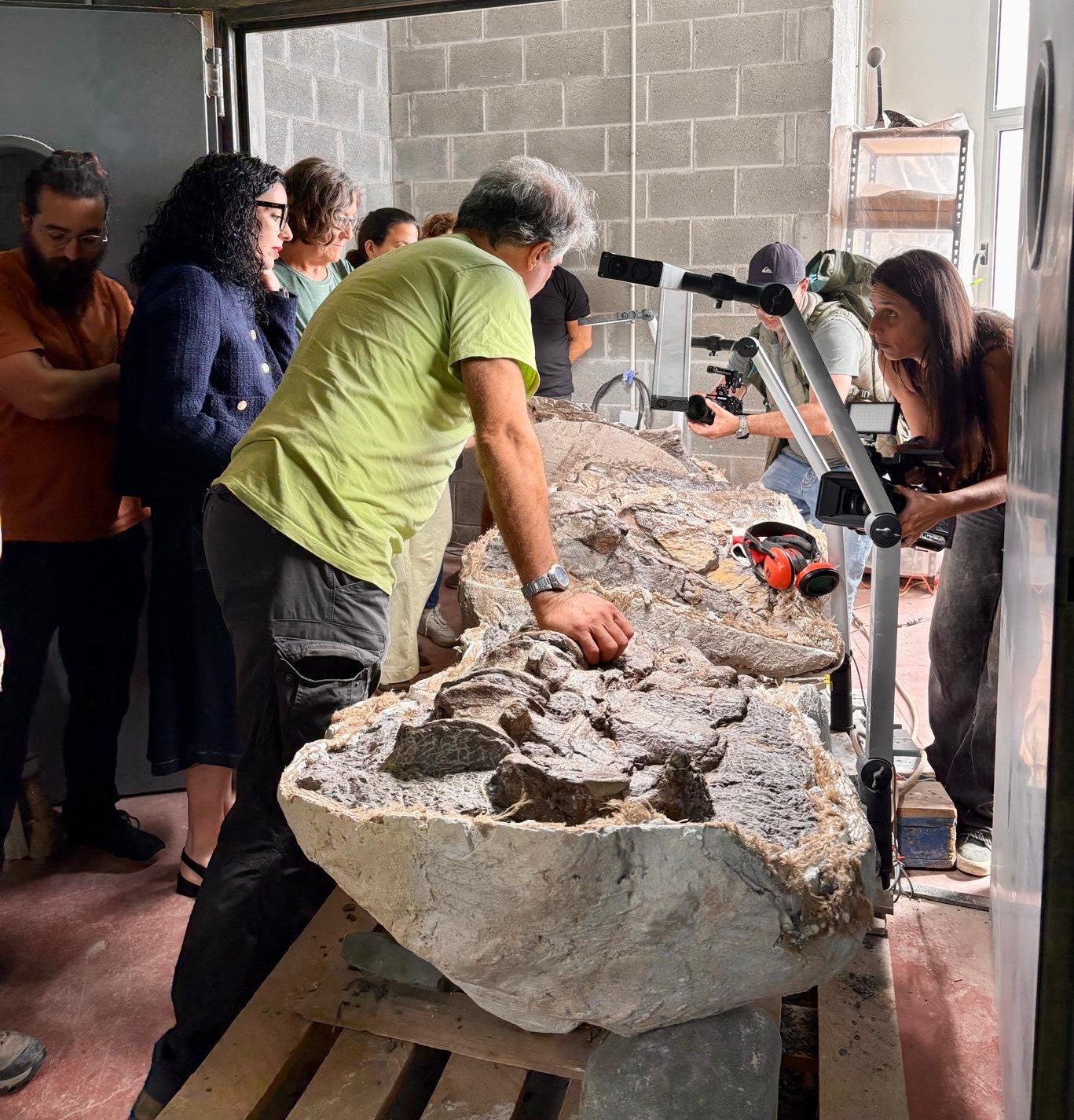 Imagen - Las personas que visiten el Museo Jurásico pondrán nombre al gran dinosaurio hallado en los acantilados de Ribadesella