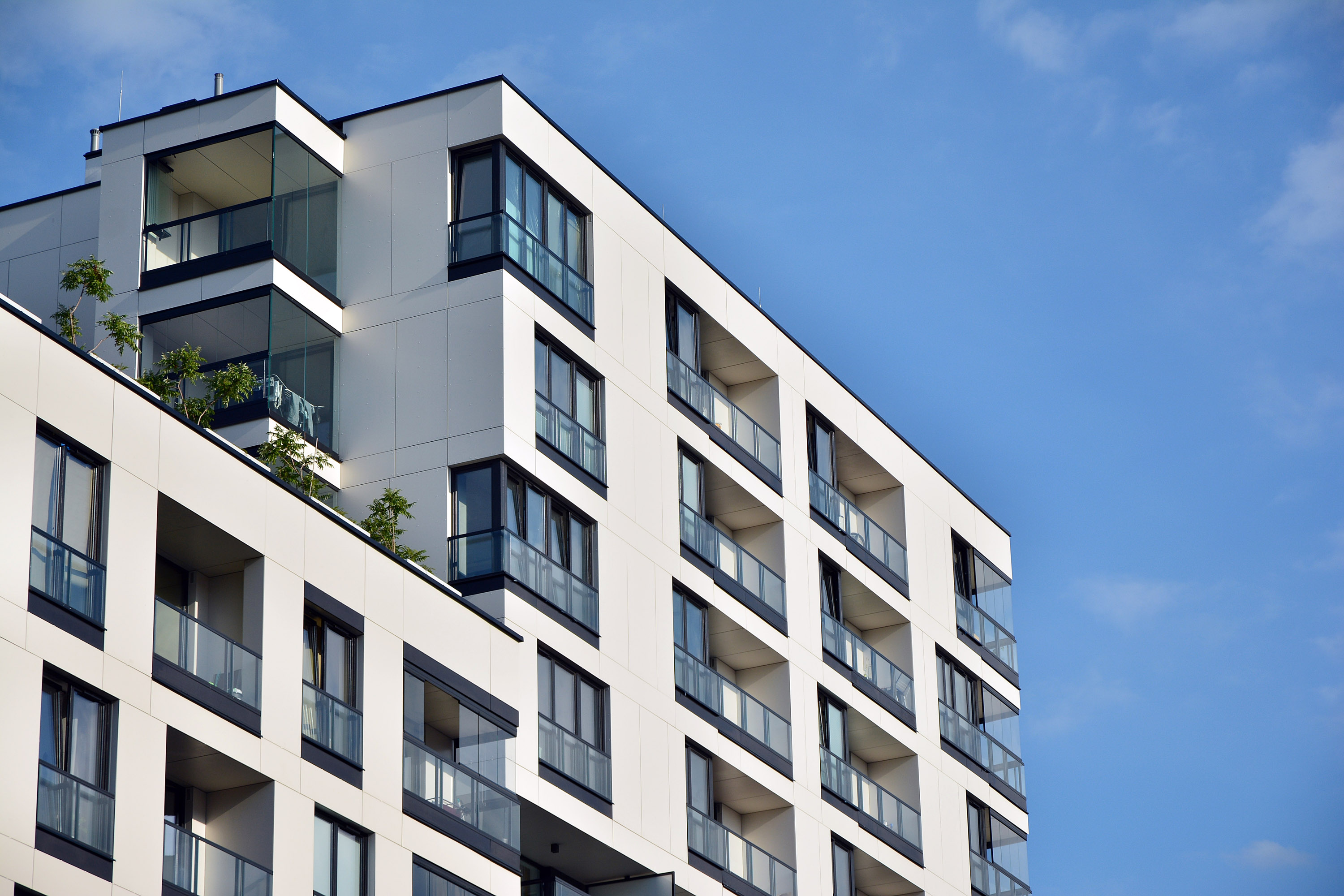 Imagen - Vivienda exige a Covadonga Tomé que rectifique unas afirmaciones 