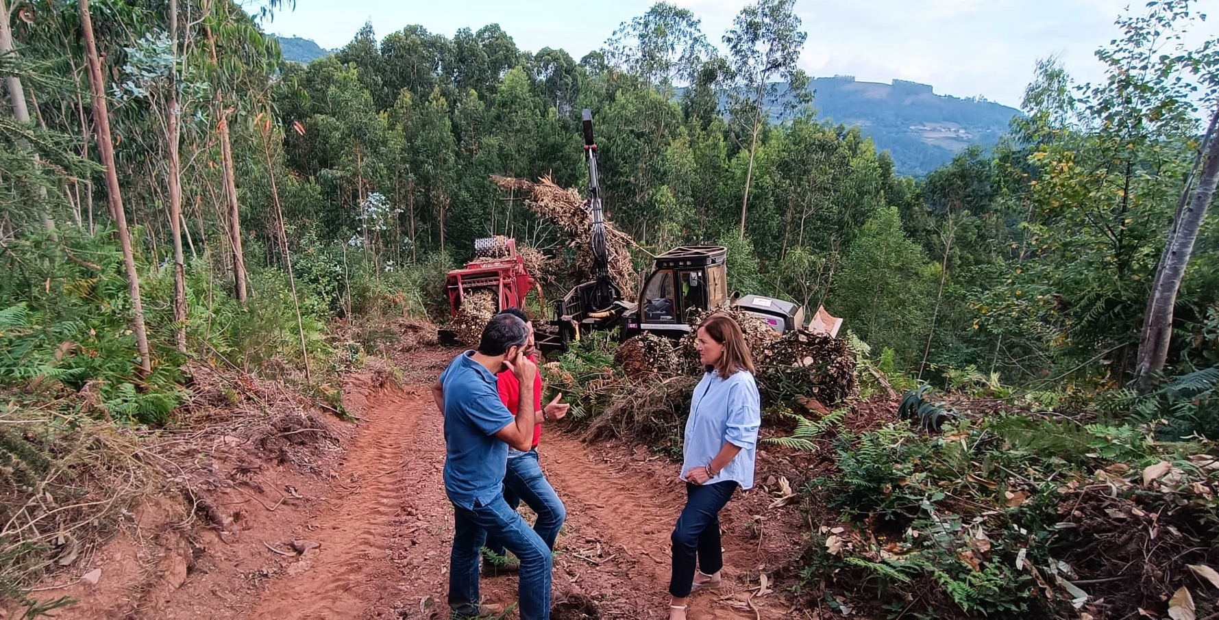 Imagen - Medio Rural destina 9,7 millones a modernizar y reforzar la competitividad de la industria agroalimentaria y forestal