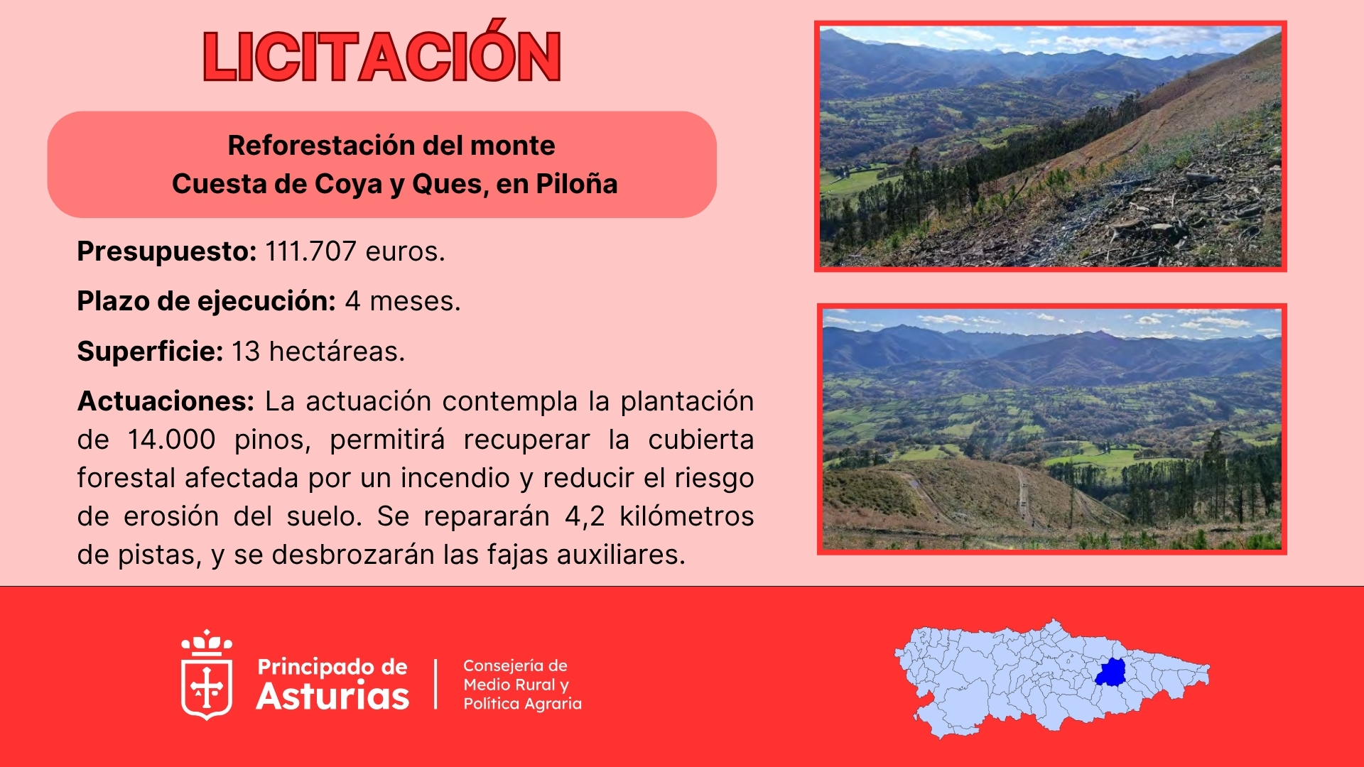 Imagen - Medio Rural licita por 111.000 euros la reforestación de trece hectáreas del monte de Cuesta de Coya y Ques, en Piloña