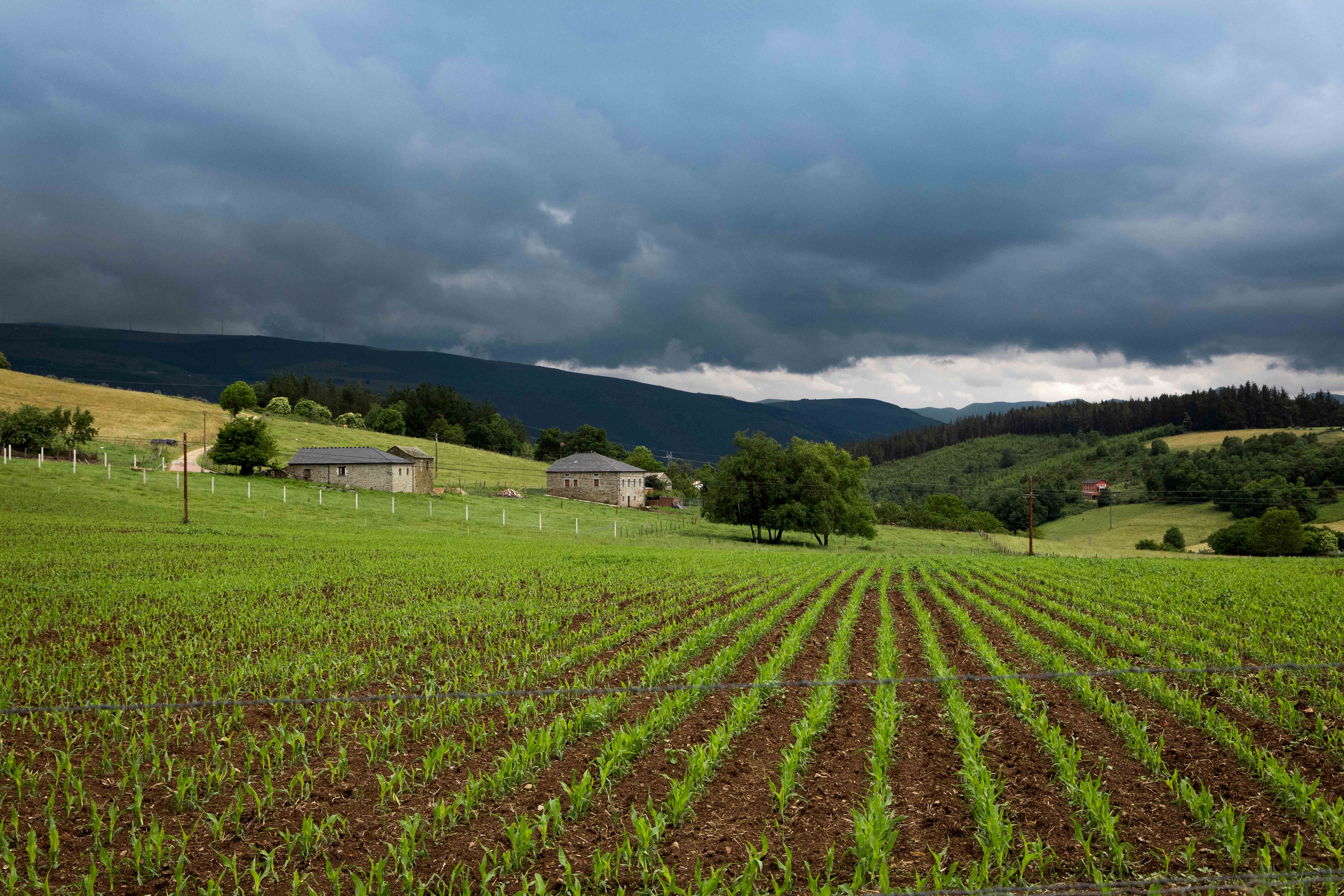 Imagen - Medio Rural destina 300.000 euros a la modernización de explotaciones agrarias a través de las entidades asociativas