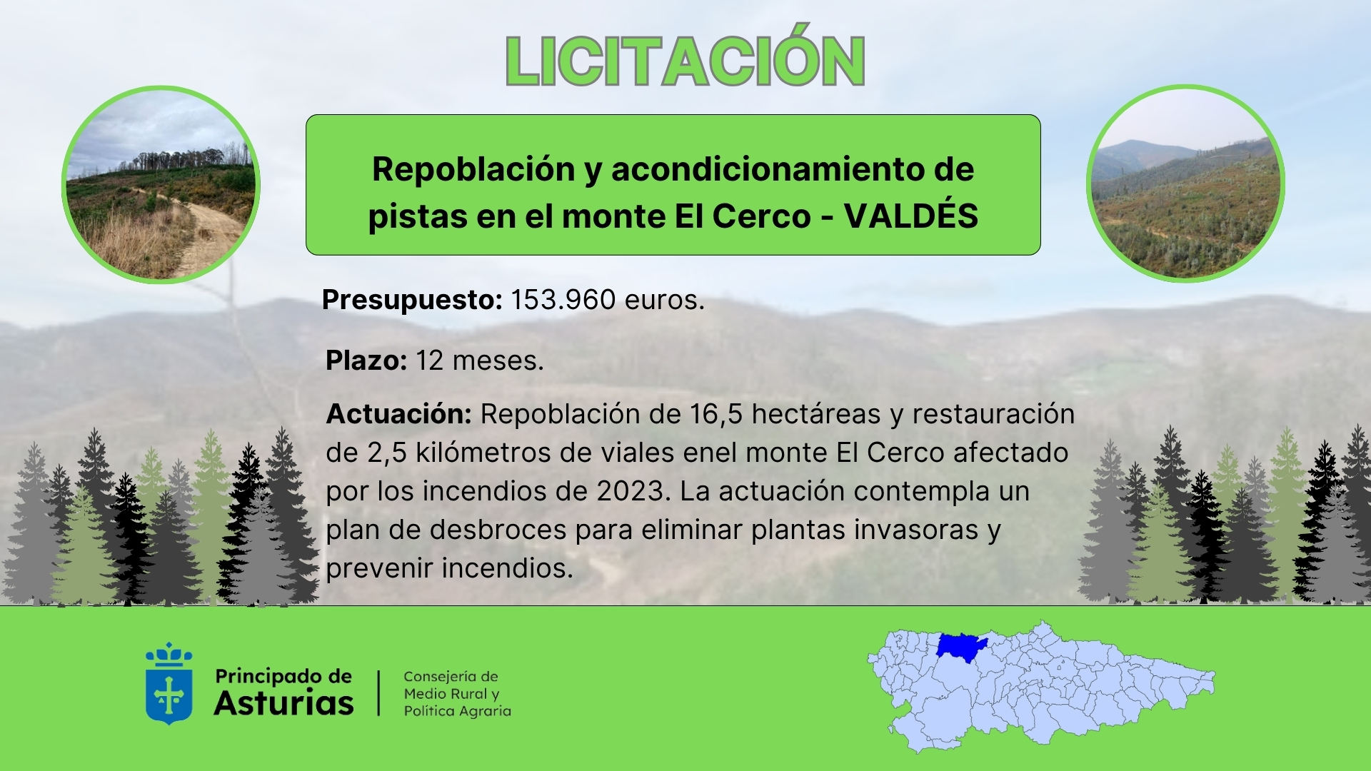 Imagen - Medio Rural licita por 154.000 euros la restauración forestal del monte El Cerco y la mejora de sus infraestructuras, en Valdés